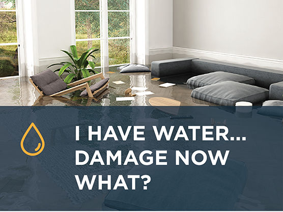 Water Damage Do's and Don't's