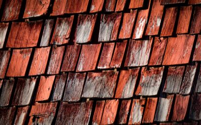 A Beginner’s Guide to Roof Repair
