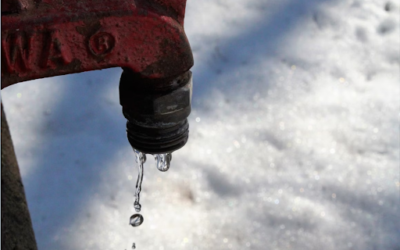 Pipe Flood Cleanup: Our Emergency Solutions After Frozen Pipes