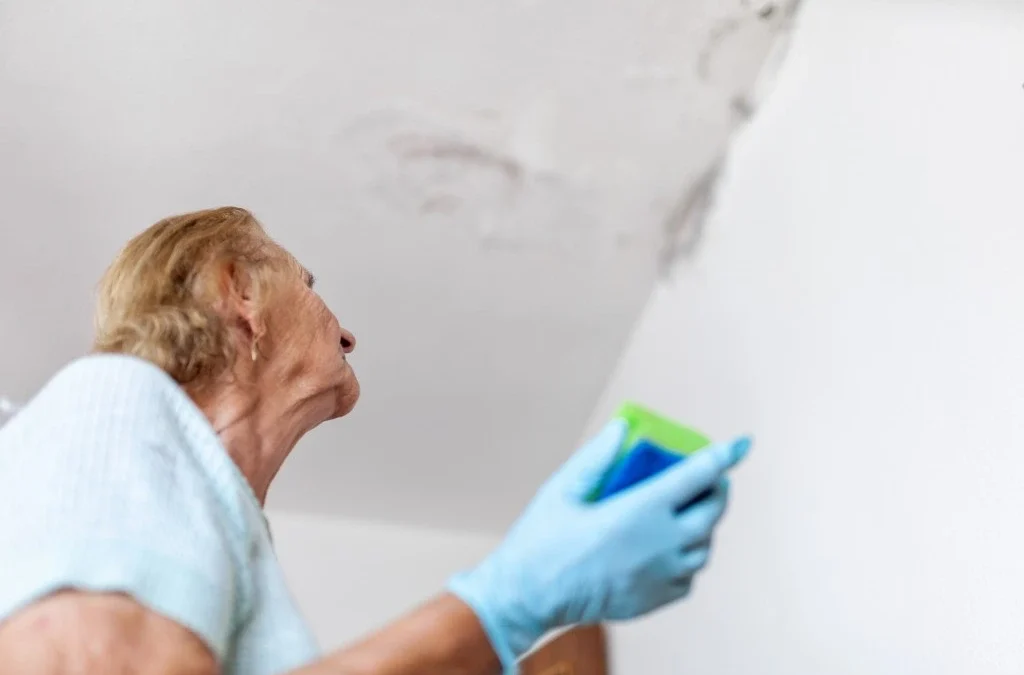 How Long Does It Take for Mold to Grow After Water Damage