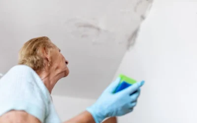 How Long Does It Take for Mold to Grow After Water Damage?